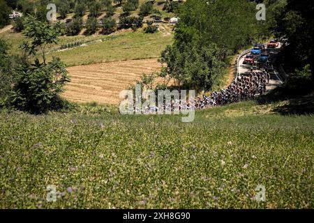 Italia. 12 luglio 2024. Peloton durante la 6 ^ tappa del giro d'Italia donne, da San Benedetto del Tronto a Chieti, Italia venerdì 12 luglio 2024. Sport - ciclismo . (Foto di Marco Alpozzi/Lapresse) credito: LaPresse/Alamy Live News Foto Stock