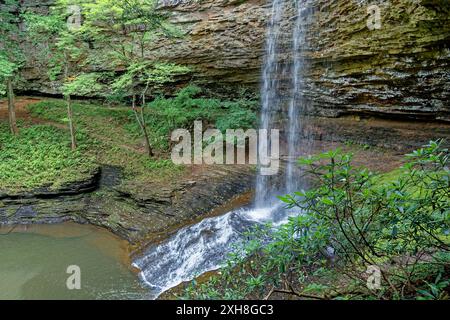 Situato nel canyon della cascata superiore di piney nel Tennessee centrale, vista parziale delle cascate che si riversano in una piscina trasparente circondata da acqua Foto Stock