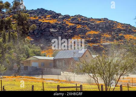 Nababeep, Sudafrica - 6 settembre 2007: The Nabeep Nabeep, Sudafrica - 6 settembre 2007: Hills Guest House con una montagna coperta a orano Foto Stock