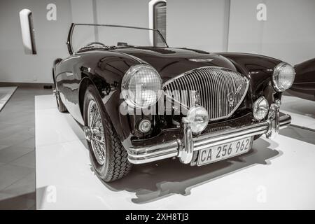 Austin-Healey 100M BN2 1955 auto nel Franschhoek Motor Museum, Sudafrica Foto Stock