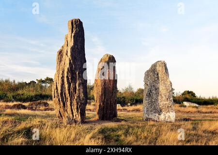 Landes de Cojoux, Saint-Just, Brittany. Parte del Moulin preistorici gli allineamenti di menhir sull'estremità est della cresta Cojoux Foto Stock