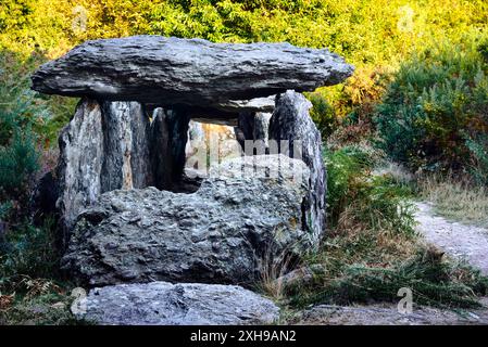 Saint-Just, Brittany, Francia. Passaggio preistorico grave allée couverte noto come La Grotte des Fées de Tréal Foto Stock