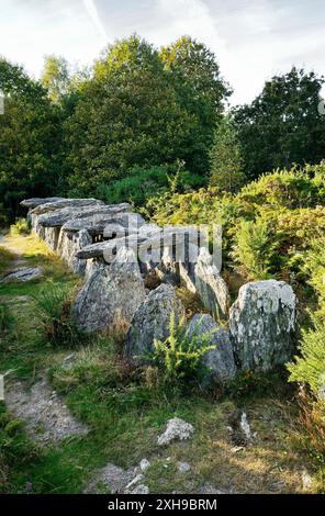 Saint-Just, Brittany, Francia. Passaggio preistorico grave allée couverte noto come La Grotte des Fées de Tréal Foto Stock