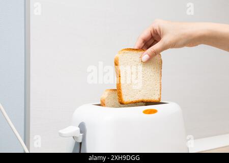 mano di donna che mette il pane nel tostapane. casalinga che frigge il pane in un tostapane, in cucina. donna che fa un brindisi. fetta di pane Foto Stock