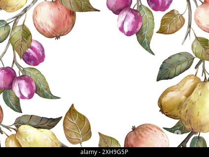 Cornice acquerello con frutta autunnale isolata su sfondo bianco. Foto Stock