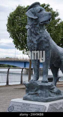 Statua di Bamse a Montrose, Scozia Foto Stock