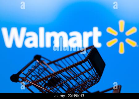 Paraguay. 12 luglio 2024. In questa immagine, un carrello è visibile davanti al logo della società di e-commerce Walmart, Inc. (Credit Image: © Jaque Silva/SOPA Images via ZUMA Press Wire) SOLO PER USO EDITORIALE! Non per USO commerciale! Foto Stock