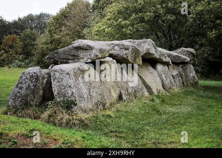 5000 anno di passaggio preistorico grave allée couverte di Mougau Bihan vicino al villaggio di Commana, Finisterre, Bretagna Francia Foto Stock