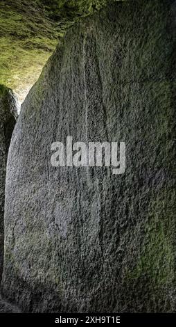 Incisioni all'interno di 5000 anno di passaggio preistorico grave allée couverte di Mougau Bihan. Commana, Finisterre, Bretagna Francia Foto Stock