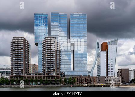 Rotterdam, Skyline an der Nieuwe Maas, Erasmus Brücke, Hochhäuser am Kop van Zuid Stadtteil, Niederlande Skyline Rotterdam *** Rotterdam, Skyline at the Nieuwe Maas, Erasmus Bridge, grattacieli nel quartiere Kop van Zuid, Netherlands Skyline Rotterdam Foto Stock