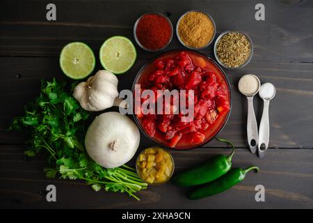 Frullatore salsa ingredienti su un tavolo di legno: Pomodori arrostiti a fuoco in scatola, coriandolo, cipolla, peperoni jalapeno, spezie, e molto altro ancora Foto Stock