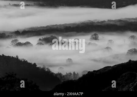 Alberi che sporgono dalla nebbia di una splendida inversione di nuvole presa da Holme Fell, guardando verso Coniston nel Lake District Foto Stock