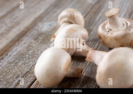 Vista di diversi funghi a bottone su una superficie di un tavolo in legno. Foto Stock