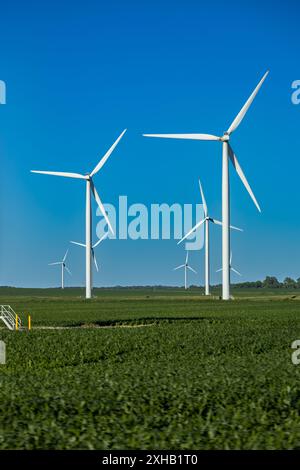 Vista panoramica full frame di gigantesche turbine eoliche in un campo agricolo sotto il cielo azzurro, con spazio per copiare Foto Stock