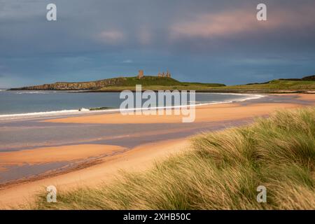 Ora d'oro serale per ammirare le rovine del castello di Dunstanburgh dalla baia di Embleton sulla costa del Northumberland, Inghilterra nord-orientale, Regno Unito Foto Stock