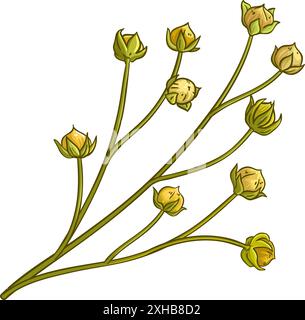 Illustrazione dettagliata colorata della diramazione del lino Illustrazione Vettoriale