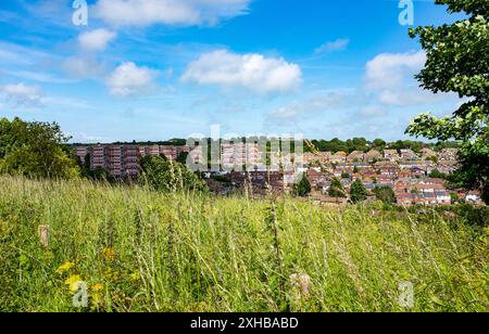 Swanborough Flats sulla Whitehawk Council Estate a East Brighton , Inghilterra , Regno Unito Foto Stock