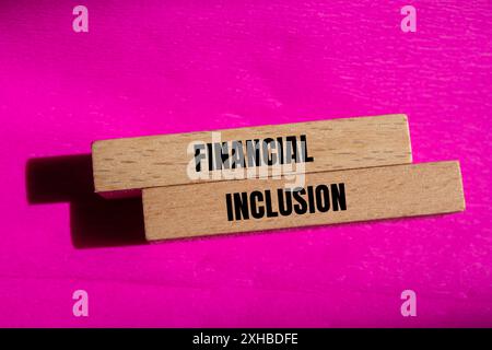 Messaggio di inclusione finanziaria scritto su blocchi di legno con sfondo rosa. Simbolo di inclusione finanziaria concettuale. Copia spazio. Foto Stock