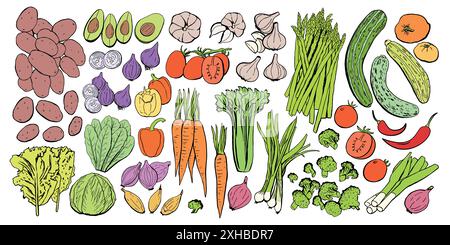 Set di icone vettoriali disegnate per verdure. Immagine di verdure colorate per prodotti agricoli di design, etichetta del mercato negozio vegetariano. Illustrazione Vettoriale