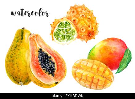 Goditi una varietà di frutti acquerelli della Repubblica Dominicana come papaya, mango e kiwano Foto Stock