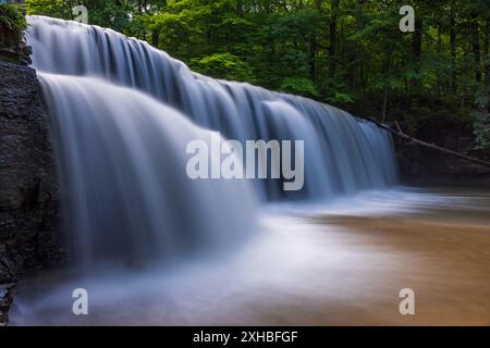 La cascata di Prairie Creek offre un paesaggio panoramico nei boschi durante l'estate. Foto Stock