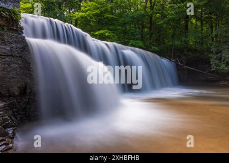 La cascata di Prairie Creek offre un paesaggio panoramico nei boschi durante l'estate. Foto Stock