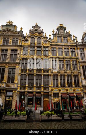 La Brouette, le Sac e la Louve sulla Grand-Place di Bruxelles, Belgio. Foto Stock