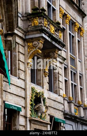 La Cygne sulla Grand Place di Bruxelles, Belgio. Foto Stock