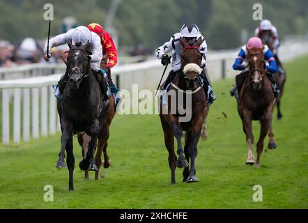 York. Regno Unito. Sabato 13 luglio 2024. Alsakib vince la John Smith's Silver Cup (gruppo 3) sotto il fantino P.J.McDonald per l'allenatore Andrew Balding e il proprietario al Wasmiyah Stud Crediti JTW equine Images / Alamy Live News Foto Stock