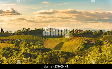 Tramonto sul paesaggio dei vigneti della Stiria meridionale a Steiermark, Austria. Splendida destinazione tranquilla da visitare per il famoso vino bianco. Tra Foto Stock