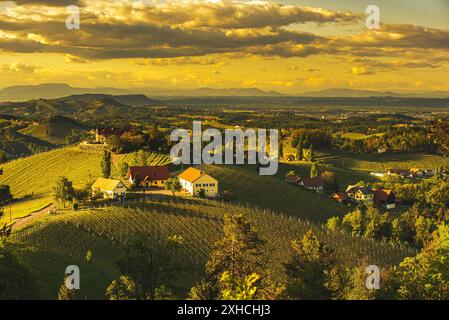 Tramonto sul paesaggio dei vigneti della Stiria meridionale a Steiermark, Austria. Splendida destinazione tranquilla da visitare per il famoso vino bianco. Tra Foto Stock