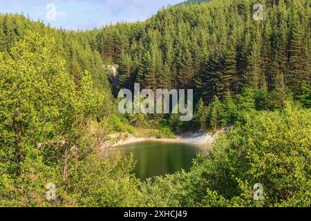 Krinets lago diga panorama estivo a Bansko, Bulgaria con pinete verde sullo sfondo Foto Stock