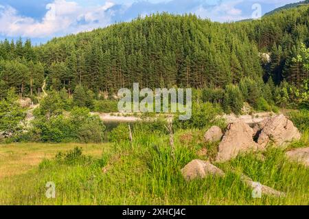 Krinets lago diga panorama estivo a Bansko, Bulgaria con pinete verde sullo sfondo Foto Stock