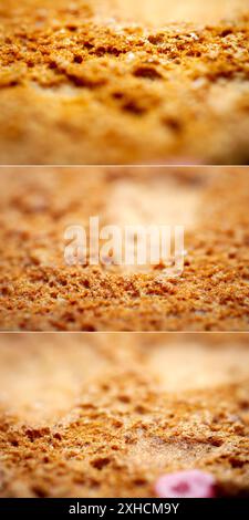 Raccolta di immagini con estrema macinatura di biscotti al pan di zenzero. Messa a fuoco selettiva, bassa profondità di campo. Foto Stock