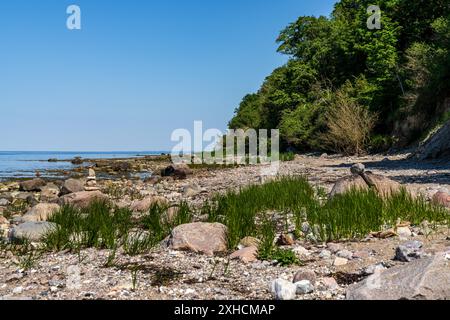 La costa del Mar Baltico con la spiaggia vicino a Boltenhagen, Meclemburgo-Pomerania occidentale, Germania Foto Stock