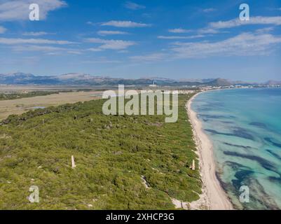 Es Comu, area Natural d'Especial Interes, inclusa nel Parco naturale di S'Albufera, muro, bahia de Alcudia, Maiorca, Isole Baleari Foto Stock