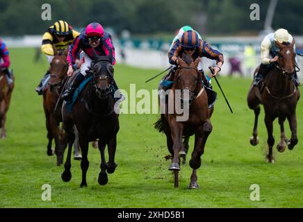 York. Regno Unito. Sabato 13 luglio 2024. Zimmerman vince la John Smith's Stayers Stakes sotto il fantino Sean Kirrane per l'allenatore Tim Easterby e i proprietari Linkenholt Racing & Partner. Crediti JTW equine Images / Alamy Live News Foto Stock