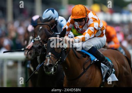 York. Regno Unito. Sabato 13 luglio 2024. Ray Vonn vince la John Smith's Sprint Stakes sotto il fantino Hector Crouch per l'allenatore B F Brookhouse e i proprietari della Moorgate Racing Limited. Crediti JTW equine Images / Alamy Live News Foto Stock