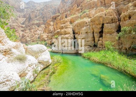 Acque verdi del lago nel mezzo del canyon di Wadi Shab, Tiwi, sultanato dell'Oman Foto Stock