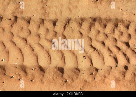 Tracce di pneumatici nel deserto. Foto Stock