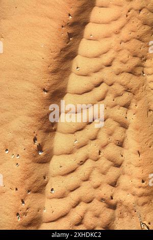 Tracce di pneumatici nel deserto. Foto Stock