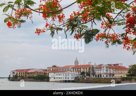 Edifici storici nella città vecchia (casco Viejo) di Panama City sulla riva del golfo di Panama. Il Palacio Bolivar e la Chiesa di San Francesco d'Assisi si susseguono Foto Stock