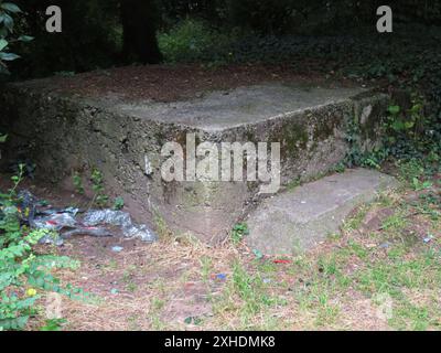 ...Ueberall sind sie noch zu finden...Die Relikte des großen Weltkrieges II - Die Decke des Bunkers und die Schutznase ueber dem Eingang - alles zugeschuettet - aus den Augen aus dem Sinn - oder so aehnlich... Luftschutzbunker Weltkrieg II *** si possono ancora trovare ovunque le reliquie della grande guerra mondiale II il soffitto del bunker e il naso protettivo sopra l'ingresso, tutti coperti dalla vista fuori dalla mente o qualcosa del genere di rifugio antiaereo seconda guerra mondiale Foto Stock