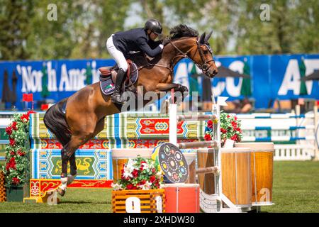 Mostra salto in Spruce Meadows Foto Stock