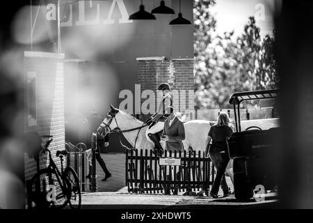 I migliori atleti da tutto il mondo si incontrano al Calgary's Spruce Meadows Foto Stock