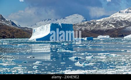 Iceberg, Cumberland East Bay, South Georgia Island, martedì 28 novembre, 2023. foto: David Rowland / One-Image.com Foto Stock