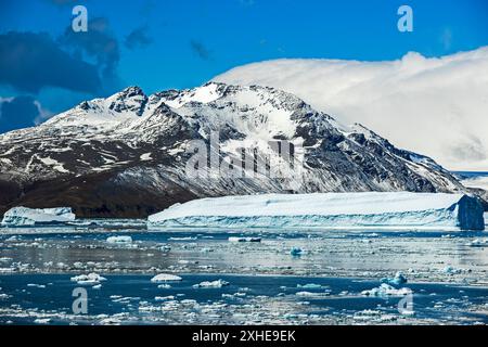 Iceberg, Cumberland East Bay, South Georgia Island, martedì 28 novembre, 2023. foto: David Rowland / One-Image.com Foto Stock