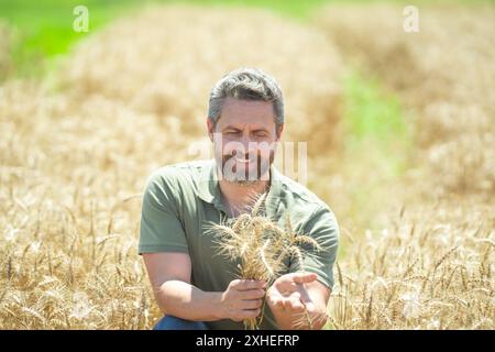 L'agricoltore cammina attraverso un campo di grano. L'agronomo lavora in terreni rurali, produce pane in una piantagione agricola, coltiva grano verde. Ritratto dell'agricoltore Foto Stock