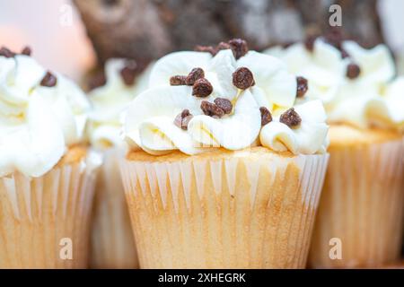 Deliziosi cupcackes al cioccolato su un piatto di legno, tortini alla vaniglia con glassa alla vaniglia e gocce di cioccolato Foto Stock