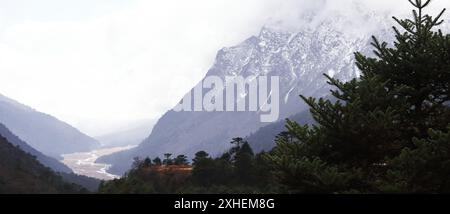 paesaggio montano panoramico dell'himalaya, foresta di conifere e valle. vista dall'alto della splendida valle di yumthang situata nel nord del sikkim, india Foto Stock